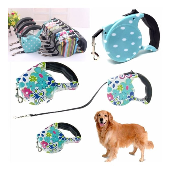 Desenli Köpek Tasması - Pup Style Desenli Köpek Tasması - Pup Style