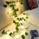 Güneş Enerjili Sarmaşık Led Dekor 5 Metre Güneş Enerjili Sarmaşık Led Dekor 5 Metre