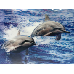 Gümüş Yandan Tüylü Güllü Pullu Maske Gümüş Yandan Tüylü Güllü Pullu Maske