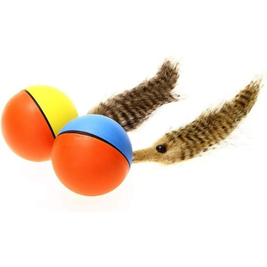 Hareketli Rakun Kedi Köpek Oyuncak Hareketli Rakun Kedi Köpek Oyuncak