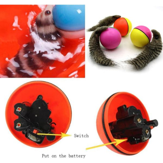 Hareketli Rakun Kedi Köpek Oyuncak Hareketli Rakun Kedi Köpek Oyuncak