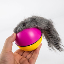 Hareketli Rakun Kedi Köpek Oyuncak  Hareketli Rakun Kedi Köpek Oyuncak