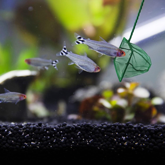 Akvaryum Balık Kepçesi 12 cm. Akvaryum Balık Kepçesi 12 cm.