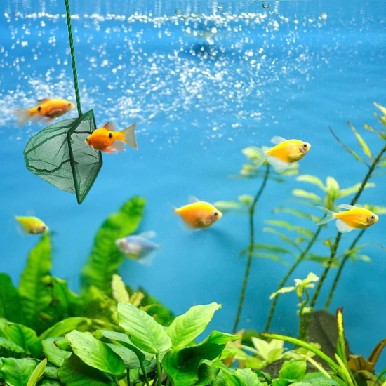 Akvaryum Balık Kepçesi 7.5 Cm. Akvaryum Balık Kepçesi 7.5 Cm.