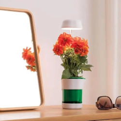 Hızlı Bitki Yetiştirme Saksısı Hızlı Bitki Yetiştirme Saksısı