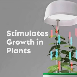 Hızlı Bitki Yetiştirme Saksısı Hızlı Bitki Yetiştirme Saksısı