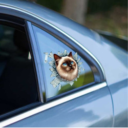 Fulcar Siamesse Araç Stickerı Fulcar Siamesse Araç Stickerı