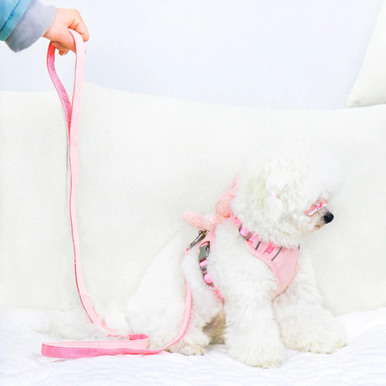 Evcil Hayvan Peluş Ayıcıklı Göğüs Gezdirme Tasması Set Evcil Hayvan Peluş Ayıcıklı Göğüs Gezdirme Tasması Set