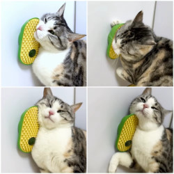 Silikon Kaşıyıcılı Kedi Otu  Silikon Kaşıyıcılı Kedi Otu