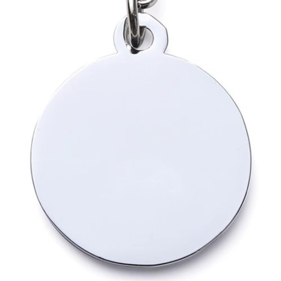 Evcil Hayvan Klipsli Tasma Künyesi Evcil Hayvan Klipsli Tasma Künyesi