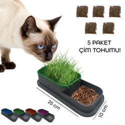 Topraksız Kedi Çimi Kabı  Topraksız Kedi Çimi Kabı