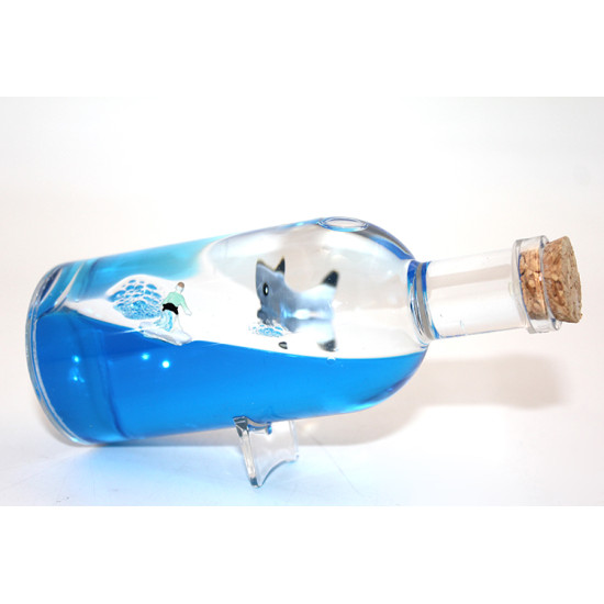 Şişe İçinde Batmayan Gemi Model 2 Şişe İçinde Batmayan Gemi Model 2