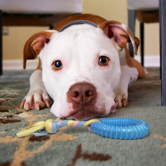 Dayanıklı Köpek Diş Kaşıyıcı Ve Çiğneme Oyuncağı Dayanıklı Köpek Diş Kaşıyıcı Ve Çiğneme Oyuncağı