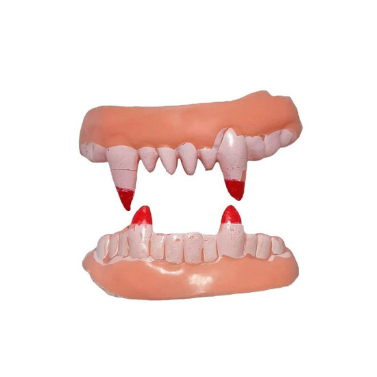 Çift Damak Yumuşak Vampir Dişleri Çift Damak Yumuşak Vampir Dişleri