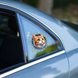 Fulcar Sarman Araç Stickerı  Fulcar Sarman Araç Stickerı