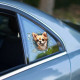 Fulcar Chiuahua Araç Stickerı Fulcar Chiuahua Araç Stickerı