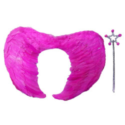 Gerçek Tüylü Katlanabilir Melek Kanadı Seti Gerçek Tüylü Katlanabilir Melek Kanadı Seti