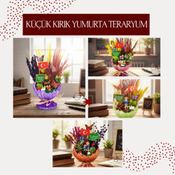 Küçük Kırık Yumurta Teraryum - Öğretmenler Günü Hediyesi