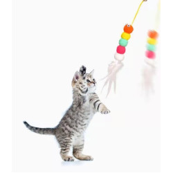 Elastik Yapışkanlı Kedi Oyun Oltası