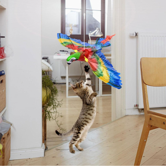 Uçan Papağan Kedi Oyuncağı Uçan Papağan Kedi Oyuncağı