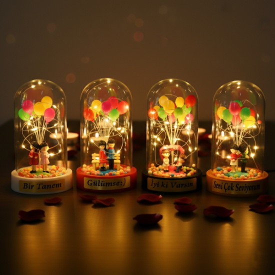 Biblolu Balonlu Ledli Fanus 