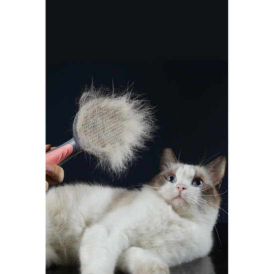 Otomatik Tuşlu Kendini Temizleyen Kedi Köpek Tarağı Otomatik Tuşlu Kendini Temizleyen Kedi Köpek Tarağı