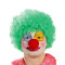 Yeşil Renk Kıvırcık Afro Palyaço Seti