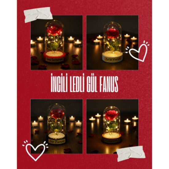 İncili Ledli Gül Fanus